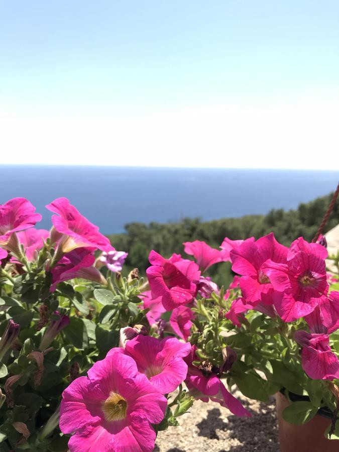 Il Terrazzo - Galatea Casa Vacanze Gagliano del Capo Zewnętrze zdjęcie
